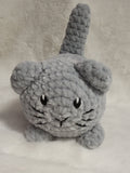 Katze (einfarbig)