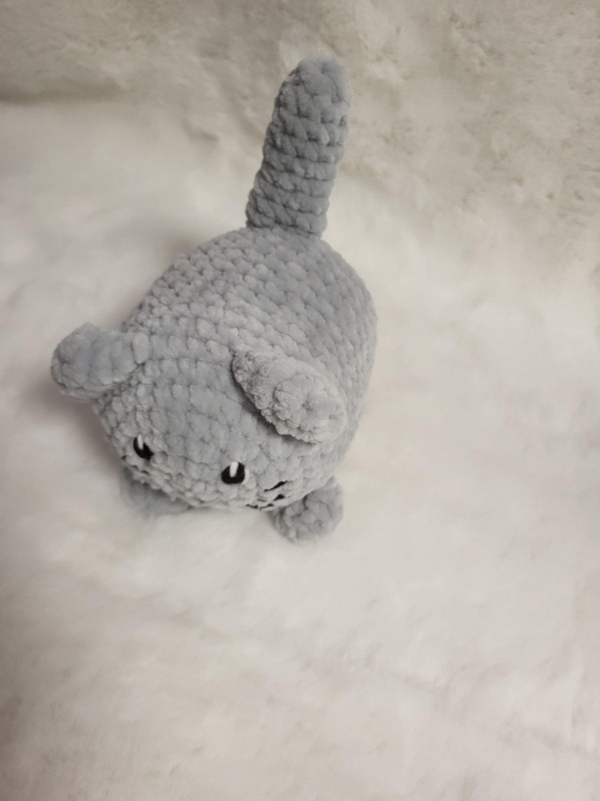 Katze (einfarbig)