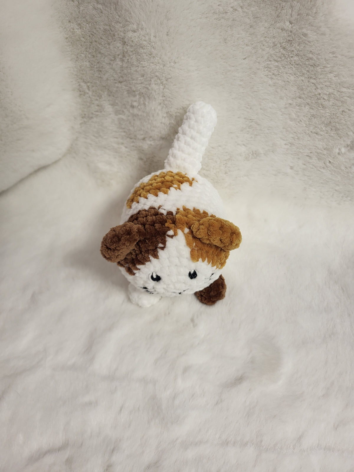Katze (drei farbig)